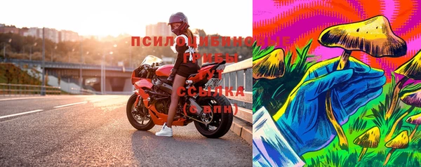 ECSTASY Мегион
