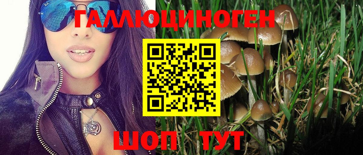 Псилоцибиновые грибы MAGIC MUSHROOMS  хочу   Нурлат  Вход с VPN 