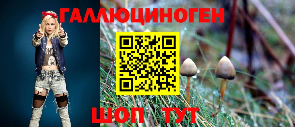 Галлюциногенные грибы прущие грибы  Нурлат 