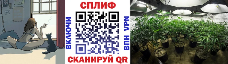 Каннабис план Нурлат